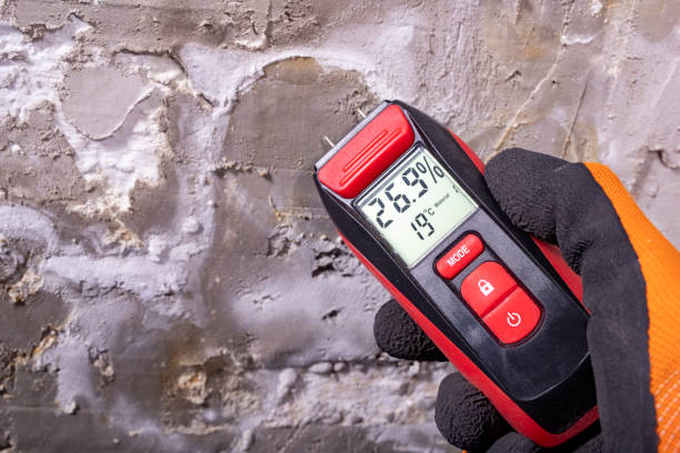Best Health and Safety Mold Remediation in Belleville, MI